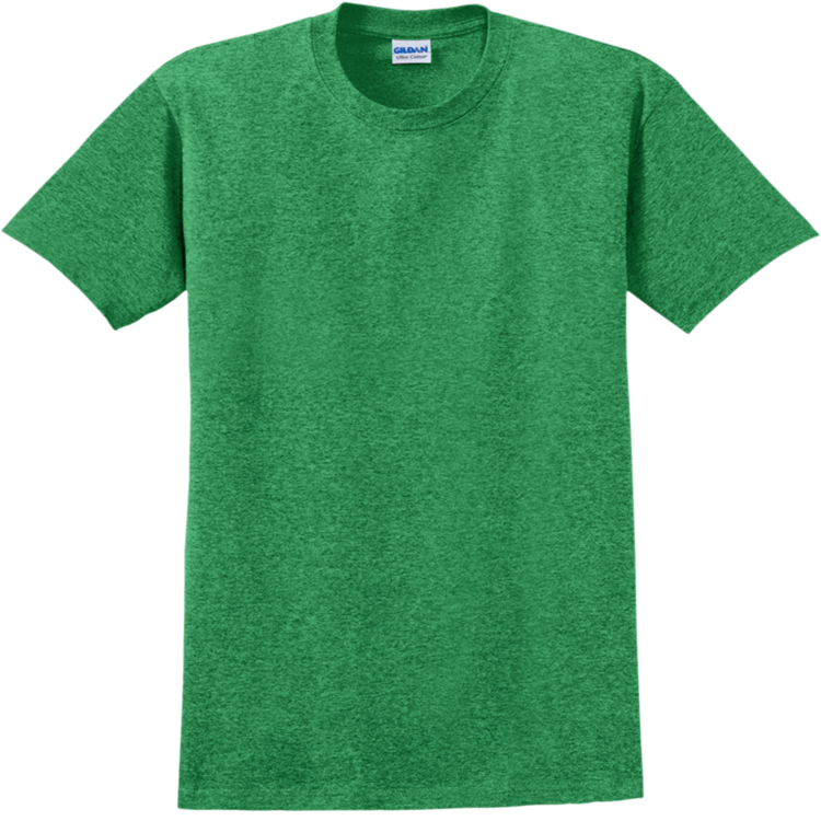 Adult 100% Cotton T-Shirts Gildan 2000