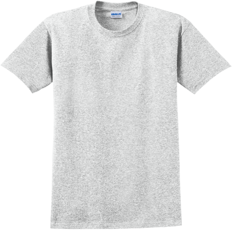 Adult 100% Cotton T-Shirts Gildan 2000