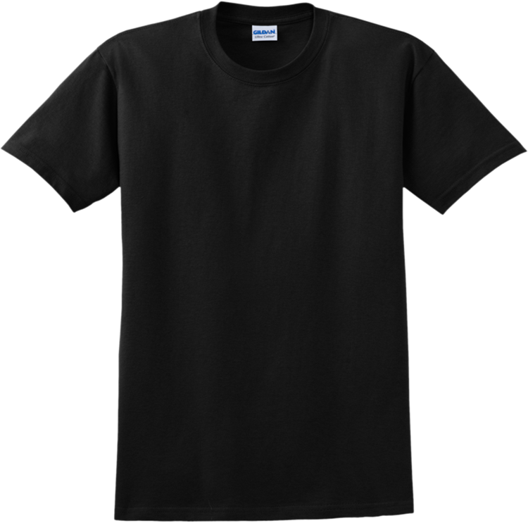 Adult 100% Cotton T-Shirts Gildan 2000