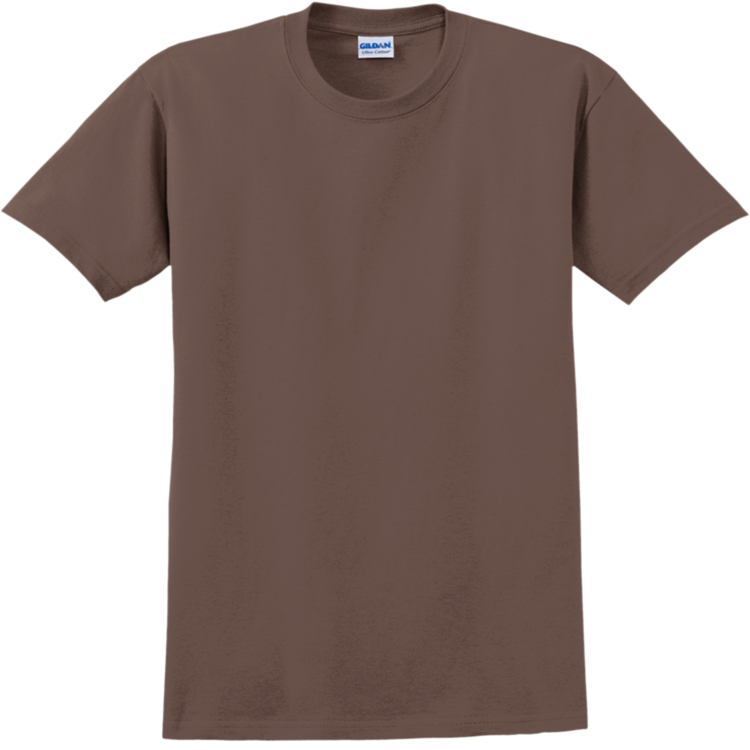 Adult 100% Cotton T-Shirts Gildan 2000