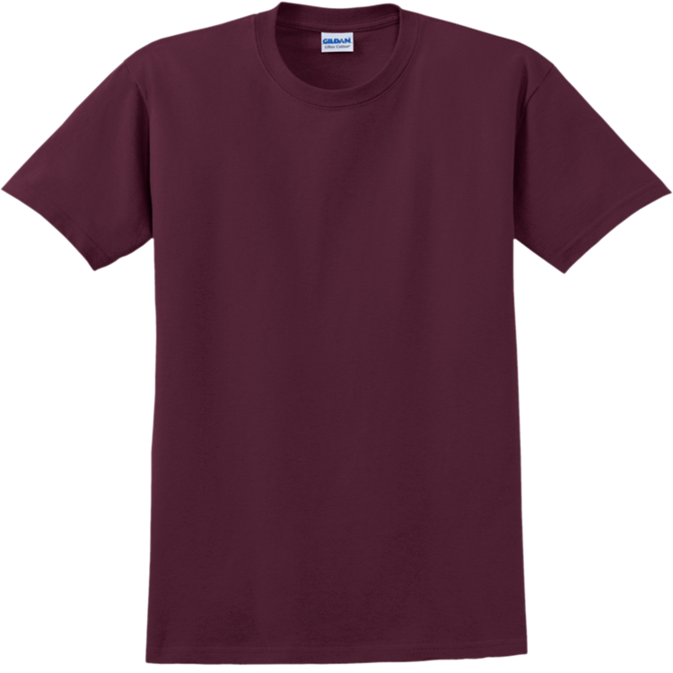 Adult 100% Cotton T-Shirts Gildan 2000