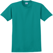 Adult 100% Cotton T-Shirts Gildan 2000