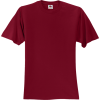 DISCONTINUED Unisex 100% Cotton T-Shirts Fruit Of The Loom 3930