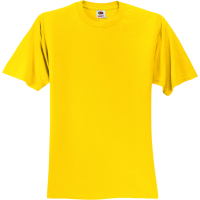 DISCONTINUED Unisex 100% Cotton T-Shirts Fruit Of The Loom 3930