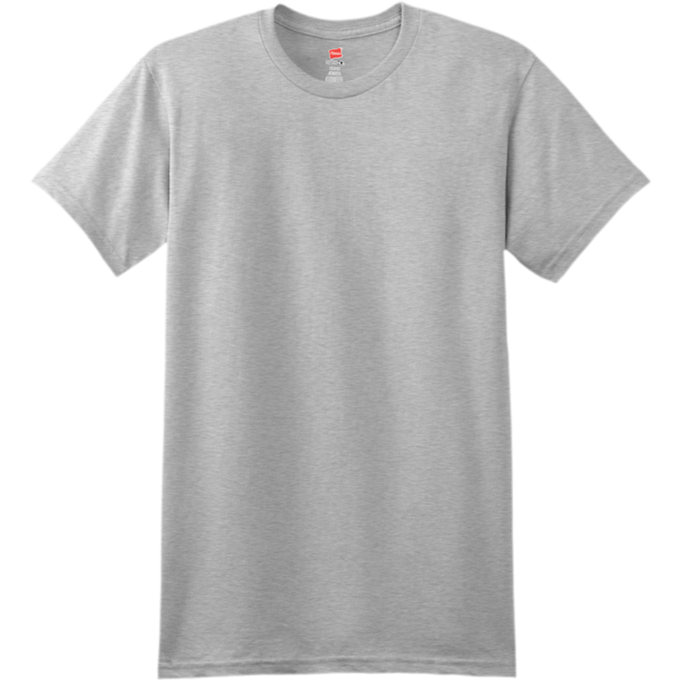 Men's 100% Cotton T-Shirts Hanes 4980