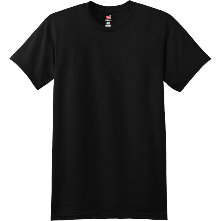 Men's 100% Cotton T-Shirts Hanes 4980