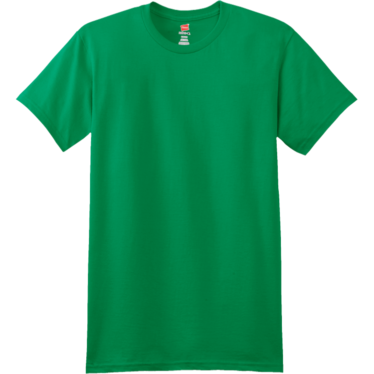 Men's 100% Cotton T-Shirts Hanes 4980