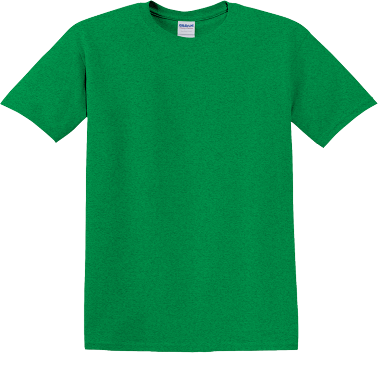 Men's 100% Cotton T-Shirts Gildan 5000