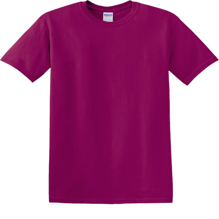 Men's 100% Cotton T-Shirts Gildan 5000