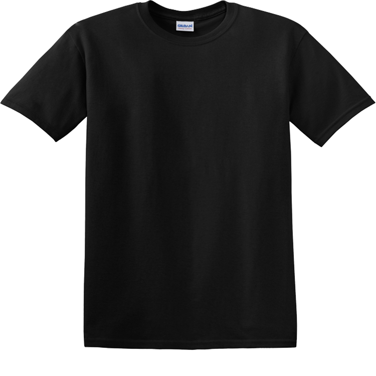 Men's 100% Cotton T-Shirts Gildan 5000