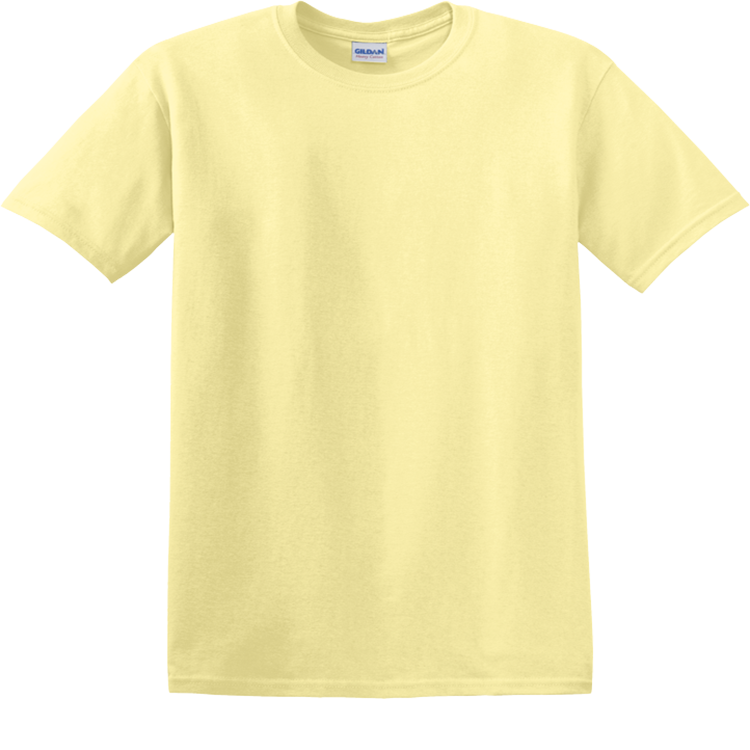 Men's 100% Cotton T-Shirts Gildan 5000