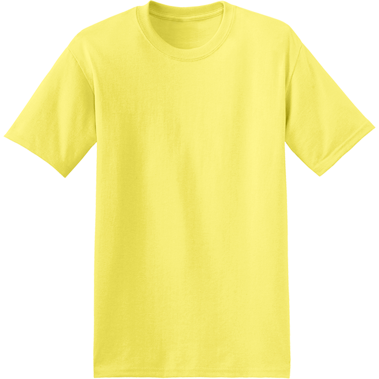 Men's 50/50 Cotton/Polyester T-Shirts Hanes 5170