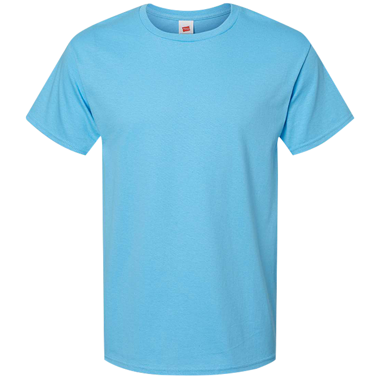Men's 100% Cotton T-Shirts Hanes 5280