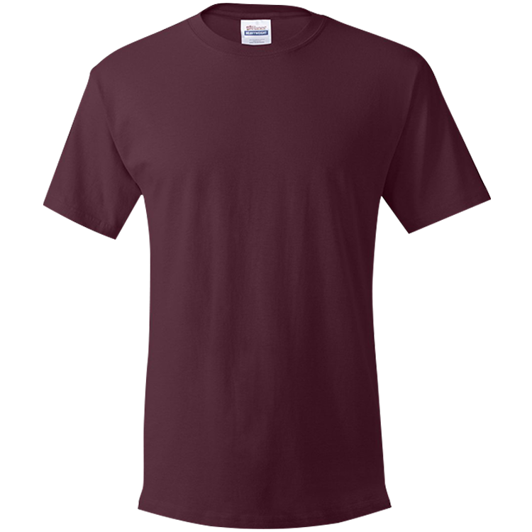 Men's 100% Cotton T-Shirts Hanes 5280