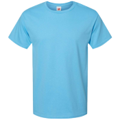 Men's 100% Cotton T-Shirts Hanes 5280 Men's 100% Cotton T-Shirts Hanes 5280