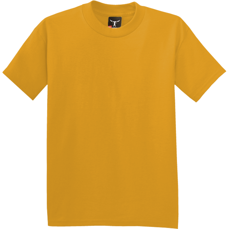 Boy's 100 Cotton TShirts Hanes 5380