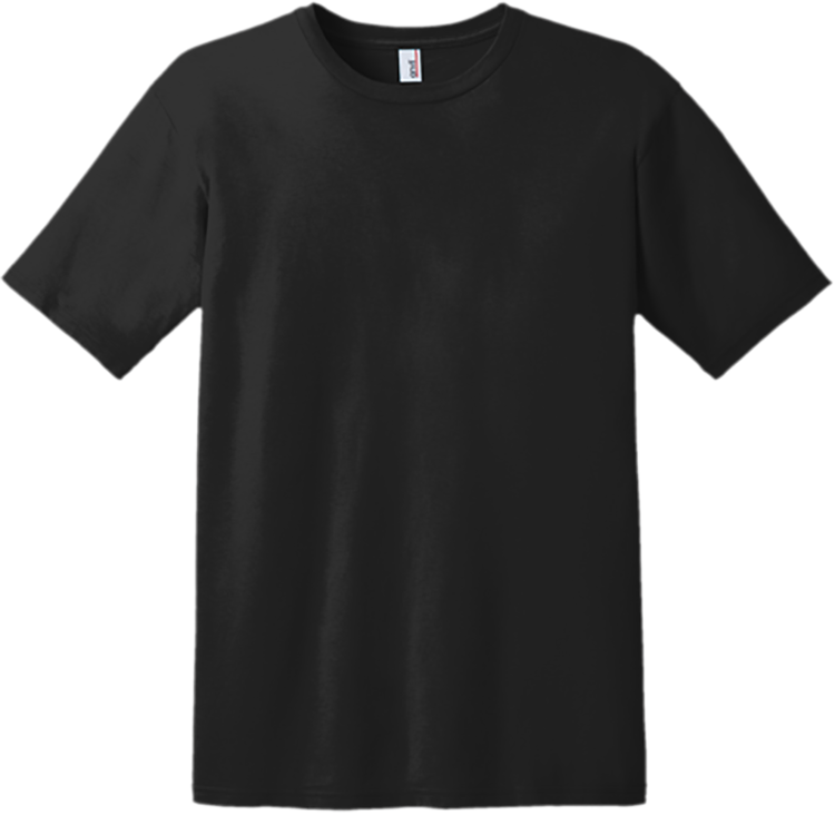 Men's 100% Cotton T-Shirts Gildan 980
