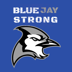 Baseball Fan T Shirts