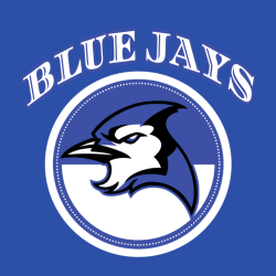 Baseball Fan T Shirts