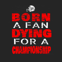 Football Fan T Shirts