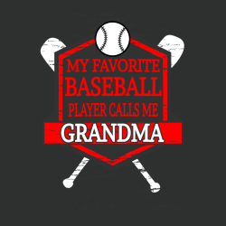 Baseball Fan T Shirts