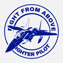 Fight From Above Fighter Pilot