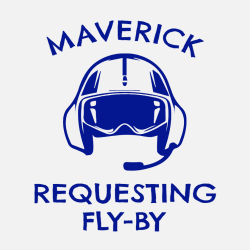 Maverick Requesting Fly-By