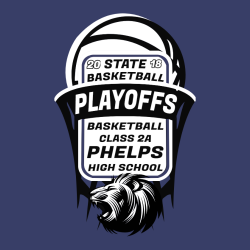Lions Basketball Playoffs - Basketball T-shirts