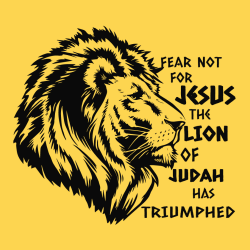 Fear not for jesus the lion of judah has triumphed - Christian T-shirts