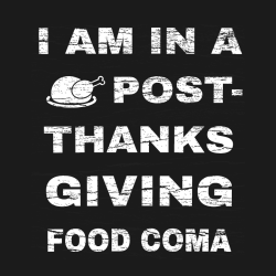 i am in a post  thanks giving food coma thanksgiving t shirts