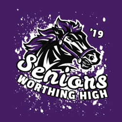 Senior - Senior Class Pride T-shirts