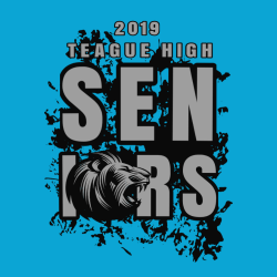 Senior - Senior Class Pride T-shirts