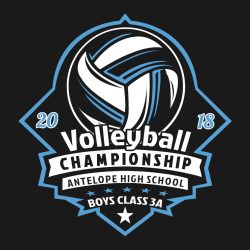 volleyball champion shirt designs