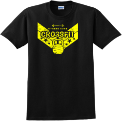 Adult 100% Cotton T-Shirts Gildan 2000