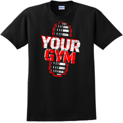 Adult 100% Cotton T-Shirts Gildan 2000