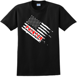 Usa Flag Painter