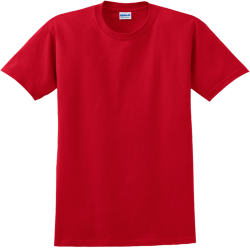 Badgers Regional Champions - Baseball T-shirts