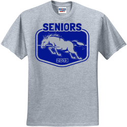 Senior - Senior Class Pride T-shirts