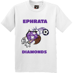 EPHRATA-DIAMONDS Boy's 100% Cotton T-Shirts Hanes 5380
