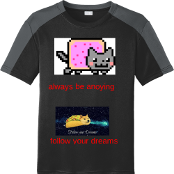 always-be-anoying--follow-your-dreams DISCONTINUED Boy's 100% Polyester T-Shirts Sport-Tek YST354