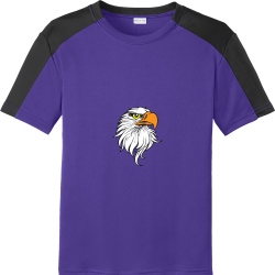Ashland-Eagles DISCONTINUED Boy's 100% Polyester T-Shirts Sport-Tek YST354