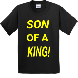 Hh Boys 100% Cotton T-Shirts Gildan 2000B