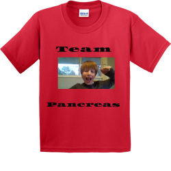 Team-Pancreas Boys 100% Cotton T-Shirts Gildan 2000B