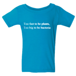 reacteria Unisex 100% Cotton T-shirts