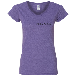 CXC-Blue-PM-Team-Pissing-Excellence-since-2019 Women's 100% Cotton T-Shirts Gildan 64V00L