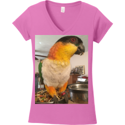 Create Women's 100% Cotton T-Shirts Gildan 64V00L