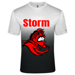 ðŸŒ® Adult 100% Polyester OMBRE T-shirts