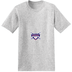 1 Men's 50/50 Cotton/Polyester T-Shirts Hanes 5170