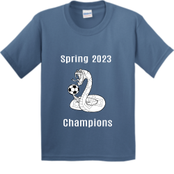 Vipers merch Boy's 100% Cotton T-Shirts Gildan 5000B