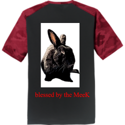 blessedby the Meek the rabbit